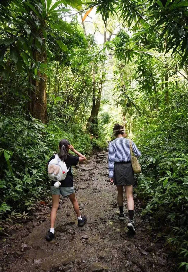 孙俪晒全家爬山照:四口同框,等等身高超妈妈-2 孙俪晒全家爬山照:四口同框,等等身高超妈妈-2