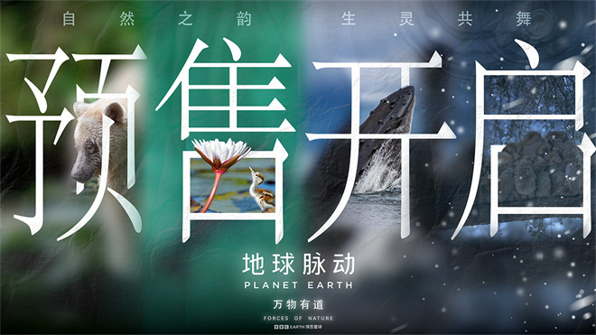 汉斯·季默倾情配乐《地球脉动:万物有道》9月12日上映-2 汉斯·季默倾情配乐《地球脉动:万物有道》9月12日上映-2