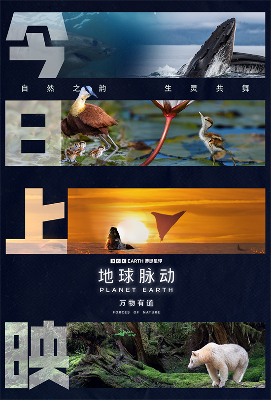 《地球脉动:万物有道》预告:同行万物,回归本真-1 《地球脉动:万物有道》预告:同行万物,回归本真-1