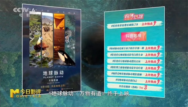 《地球脉动:万物有道》——探索地球之美的极致-1 《地球脉动:万物有道》——探索地球之美的极致-1