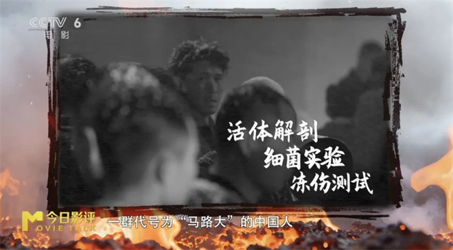 《731》国语中字（HD720P/3.6G-MKV）阿里云盘抢先版迅雷资源种子下载-1